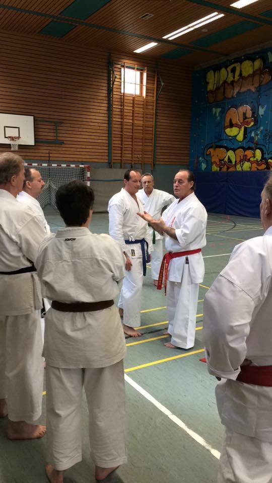 Karate Training
