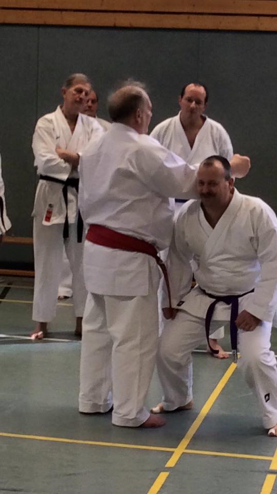 Karate Training